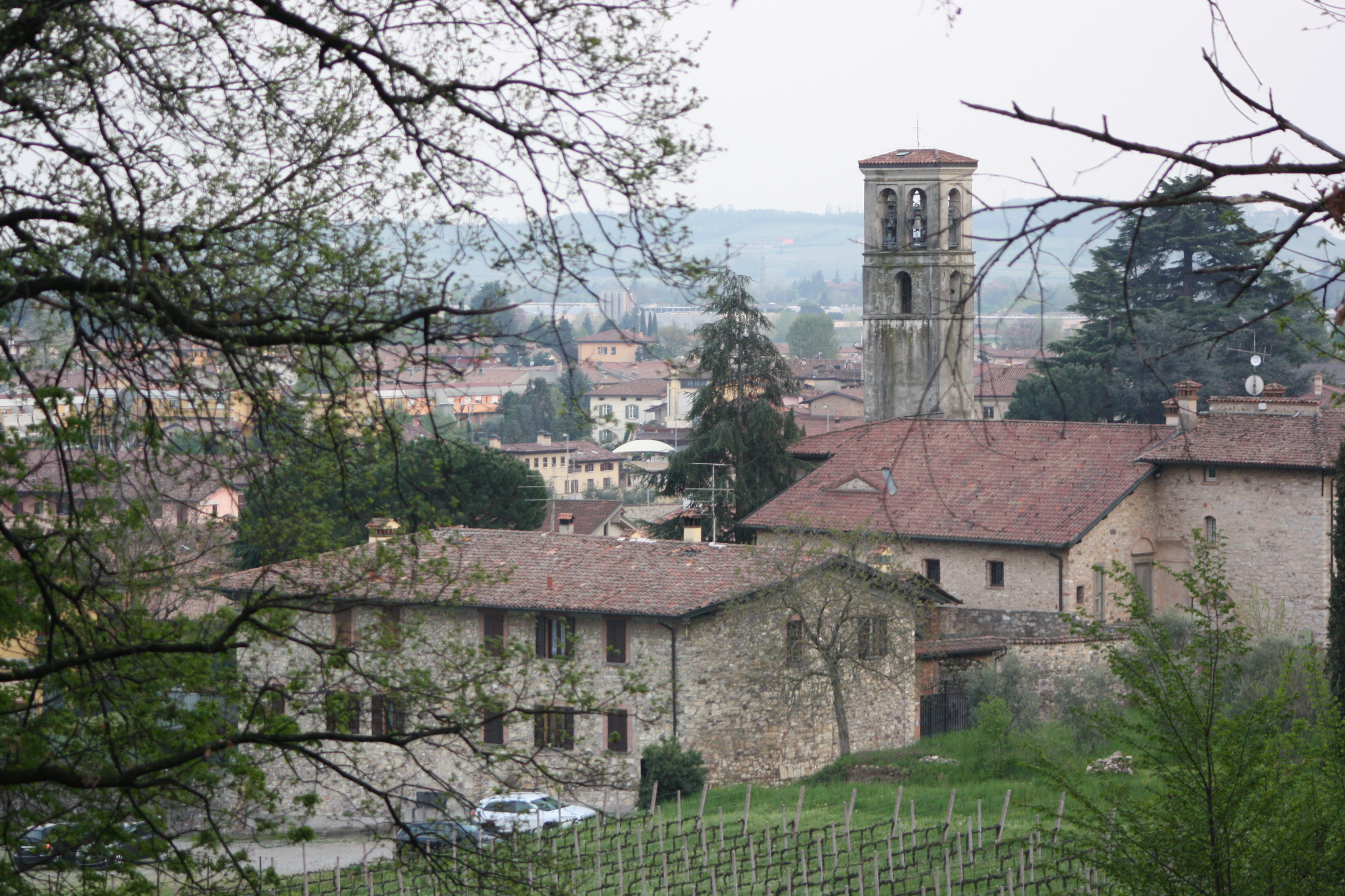 Trekking in Franciacorta tra Colombaro, Nigoline e Clusane @ 6Z Centro Cinofilo | Paratico | Lombardia | Italia