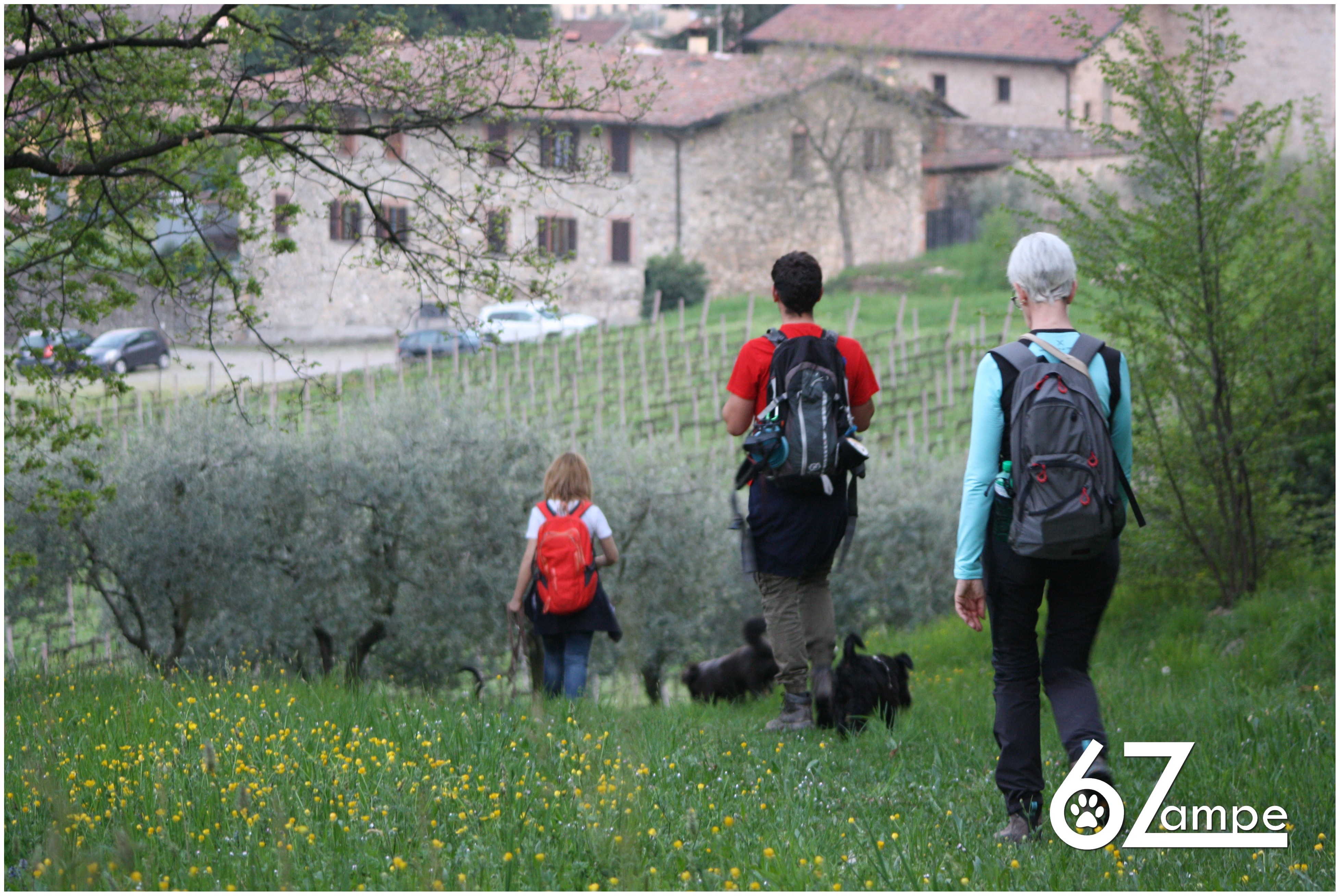 Gruppo Passeggiate (Mercoledì e Giovedì) @ Itinerari in Franciacorta | Paratico | Lombardia | Italia