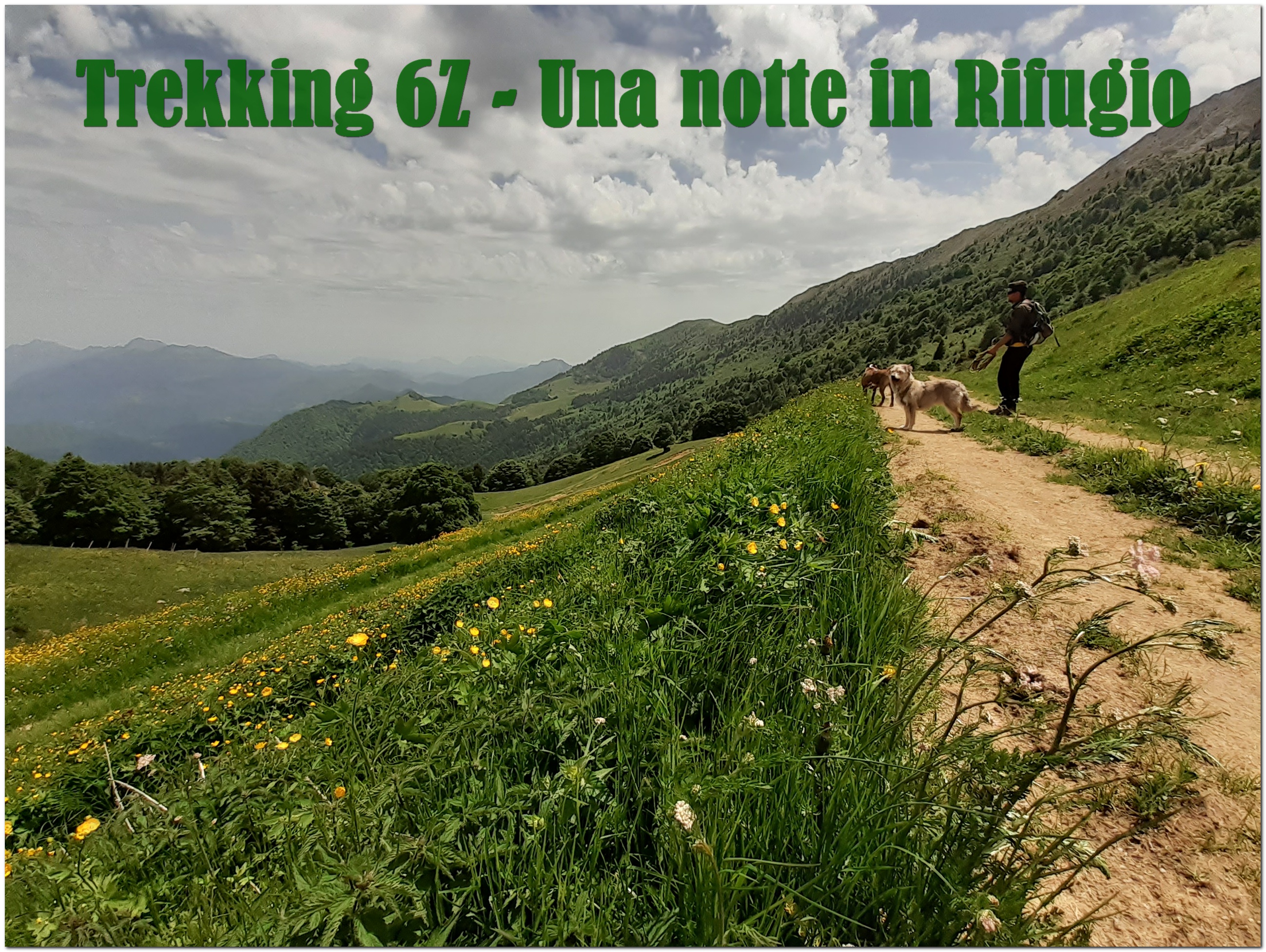 Trekking-Una Notte In Rifugio @ 6Z Centro Cinofilo